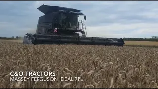 C&O Tractors - Massey Ferguson IDEAL 7PL