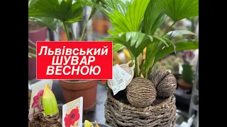 Ринок рослин у Львові - ШУВАР