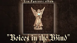 NEW ALBUM FROM THE CREATOR OF THE POPULAR ENIGMA COVERS! CYNOSURE "VOICES IN THE WIND"! 4K💖