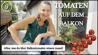 Tomaten auf dem Balkon 🍅 Tipps und Tricks!