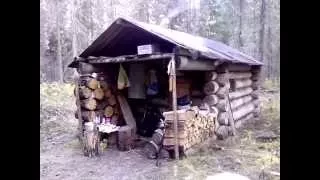 The old hut in the forest.