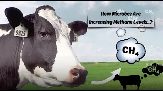 How Microbes Are Increasing Methane Levels..? || La Excellence