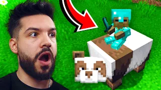 SECRETELE MOBILOR DIN MINECRAFT!