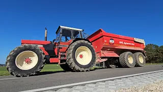 International 1455 das Eisenschwein von 1980, ein Bulldog für alle Fälle!