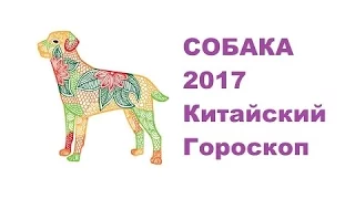 Гороскоп Собака -2017. Астротиполог, Нумеролог - Дмитрий Шимко