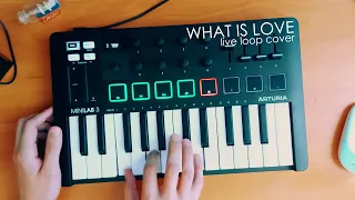 Haddaway - What Is Love (Live Loop Cover) | Minilab 3