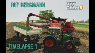 Harvesting Wheat, Products For Bread Factory: Flour, Yeast & Ducks │Hof Bergmann│FS 19│Timelapse#01