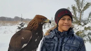 With Kazakh Golden Hunting Eagle