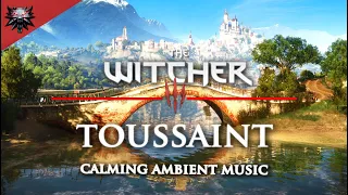 The Witcher 3 - Toussaint - Calming Ambient Music With Immersive landscapes for Meditation