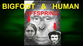 Bigfoot & Human Offspring