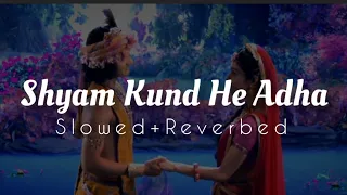 Shyam Kund Hai Ye Adha Song [Slowed+Reverbed] | Radhakrishna Song Slowed and Reverbed Song ♥️😍