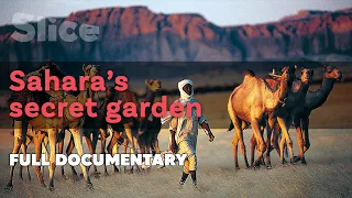Sahara's secret garden | SLICE | Full documentary