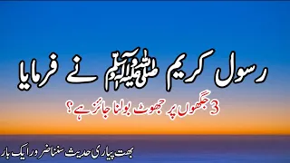 mery kareem nabi ﷺ ne Irshad farmaya |peer ajmal Raza Qadari| 3 jaghon pr jhot jaiz | the real Islam