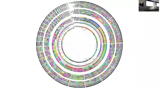 Genome Annotation Workshop - Part I