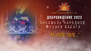 Добровидение 2023 | Ансамбль народной музыки ВАТАГА - "Ах, Поле, Поле..."