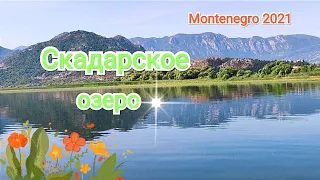 🌿🍀🍃 Скадарское озеро🌄 Незабываемая экскурсия🍀🌿🍃 Черногория 2021