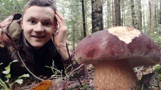 Гуцул Найшов гриба Гіганта в Карпатах ! Похід Карпатськими лісами за файними Грибами