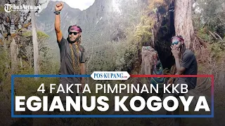 4 Fakta Pimpinan KKB Egianus Kogoya yang Sebar Teror di Tanah Papua