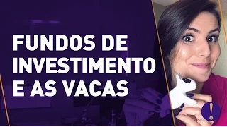 FUNDOS DE INVESTIMENTO! Tudo o que você precisa saber para começar a investir.