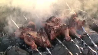 Шашлык на природе ; Barbecue in nature