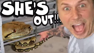 SHE LET A 20 FOOT SNAKE ESCAPE!!! CHAOS FOLLOWS!!! | BRIAN BARCZYK