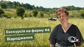 Екскурсія на ферму. #6 ферма «Відродження»