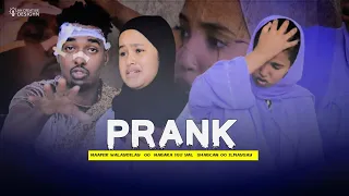 PRANK SHABCAN ISTAREX LAGU SAMEYAY  NAMIR WAALAYDILAY!