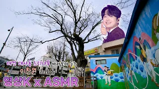 #이찬원 노래🎶와 함께하는💑 대전 대사동 느티나무💚 / KBS 대전