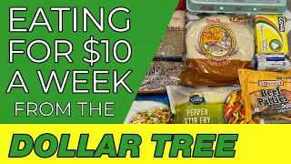 How to Eat for $10 a Week | Dollar Tree Budget Meal Plan | Emergency Grocery Haul