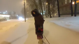 Снегопад в Москве / Метель / Поздний вечер 12 февраля / Я гуляю с мопсами
