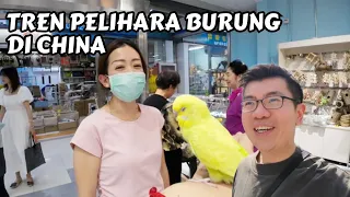 BISNIS TOKO BURUNG ORANG INDONESIA DI CHINA | TREN PELIHARA BURUNG DI CHINA