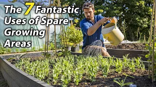 7 Reasons Why Every Vegetable Garden Needs a Spare Raised Bed