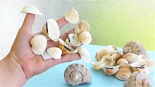 6 ideas from Seashells