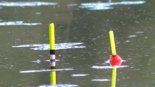 FLOAT FISHING. Giant bream !!! Fishing with FLOAT