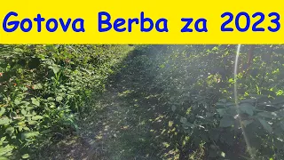 Malina Vlog Gotova Berba 2023