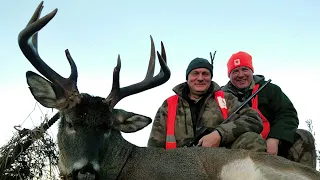 White-tailed deer hunting in Finland 2017.- Охота на Белохвостого оленя в Финляндии 2017.