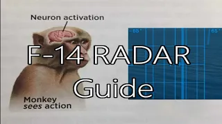 War Thunder | F-14 Radar Guide