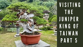 Visiting the Juniper King of Taiwan - Part 5