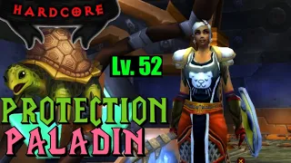 HARDCORE PROTECTION PALADIN (YES I RESPEC'D) | TURTLE WOW