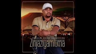 Zinjaziyamluma ( Vela Bakubone) featuring Shwi