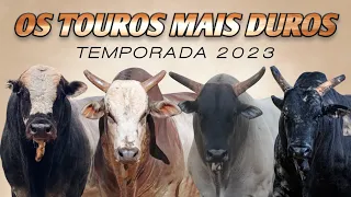 OS TOUROS MAIS DUROS DE 2023