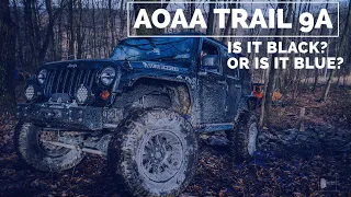 Trail 9A: Black - AOAA - Is It Black or Blue?
