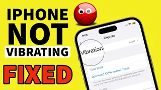 How to Fix iPhone Not Vibrating During Calls and Alerts I iPhone Not Vibrating in Silent Mode