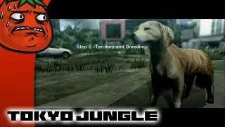 [Tomato] Tokyo Jungle : A Pomeranian could literally kill you  Watch this