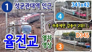 경부선 (1호선) 성균관대역 인근 율전교를 지나는 열차들