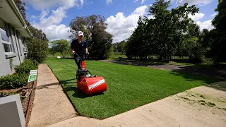 Lawn Renovation Results After 2 Weeks // FIRST MOW!!