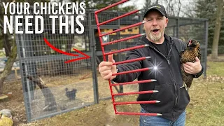 How to Build a Predator Proof Chicken Run around your Coop // DIY Project