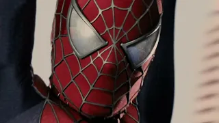 Spider-Man (Tobey Maguire) - Fights/Swinging Compilation HD