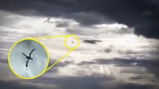 5 Unidentified Flying Creatures Caught On Camera & Spotted In Real Life!