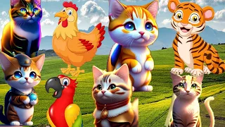 Cute and Funny Cat Video 2023 Part 55